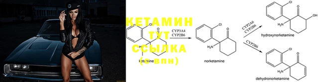 тгк Алексин