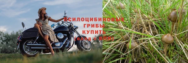трава Иннополис